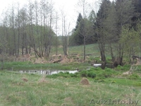 Продажа дома на хуторе в Поставской обл.  - Изображение #6, Объявление #1199433