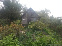 Приватизированный участок в дачном кооперативе - Изображение #1, Объявление #1215882