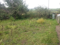 Приватизированный участок в дачном кооперативе - Изображение #2, Объявление #1215882