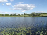 Сдам дачу на берегу озера в Поставском районе. - Изображение #1, Объявление #1283470