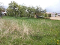 Не упусти шанс вложить свои деньги в то, что ценится всегда - Изображение #3, Объявление #1233636