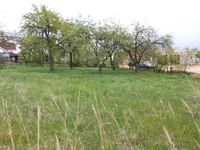 Не упусти шанс вложить свои деньги в то, что ценится всегда - Изображение #1, Объявление #1233636