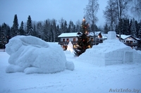 Карелия из Минска и Витебска на 12.12.2015 и 19.12.2015 - Изображение #3, Объявление #1329921