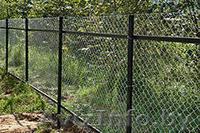 Секция заборная в Витебске - Изображение #2, Объявление #1365033