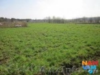 Продам участок Лятохи-5км от города. - Изображение #2, Объявление #1374026