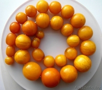 Куплю янтарные бусы СССР, Куски янтаря. Дорого - Изображение #3, Объявление #1505067