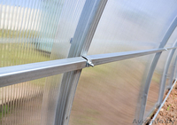 Теплица Агросфера Стандарт, Лучшее предложение - Изображение #2, Объявление #1534577