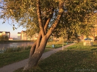 Замечательная 3-к на Титова - Изображение #5, Объявление #1635065