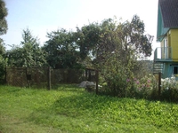 Рубленный дом 18 км от Витебск, д.Выставка, 25 соток - Изображение #2, Объявление #1651179