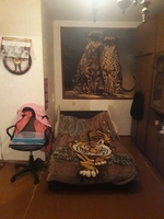 1-комнатная в ЦЕНТРЕ по Московскому пр, БАЛКОН - Изображение #3, Объявление #1673042