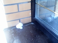 Утепление пеной пустот дома бипор, пеноизол - Изображение #3, Объявление #1679032