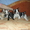 Красивые и классные щенки французского бульдога - Изображение #3, Объявление #133286