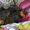 Морские свинки (метисы ангорской и розетчатой породы) - Изображение #2, Объявление #291119