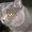 Британский кот приглашает кошечку на вязку - Изображение #3, Объявление #334798
