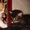 Дарю симпатичных, умных, ласковых котят - Изображение #7, Объявление #705995
