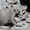 Британские  котята шиншилла-серебро от производителя из Снежного Барса - Изображение #2, Объявление #543235