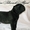 Элитные щенки итальянского кане корсо - Изображение #1, Объявление #1123905