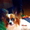 Высокопородные щенки папильонов от чемпионов - Изображение #2, Объявление #1117090