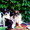 Высокопородные щенки папильонов от чемпионов - Изображение #4, Объявление #1117090