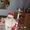 Дед Мороз и Снегурочка на дом и в офис - Изображение #2, Объявление #1344966