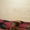Замечательный щенок чихуа-хуа - Изображение #3, Объявление #1355844