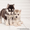 высокопородные шикарные щенки Хаски с шикарной родословной - Изображение #1, Объявление #1488927