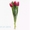 Тюльпаны на День влюбленных - Изображение #3, Объявление #1646849
