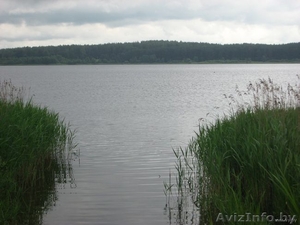 Озеро (УЧАСТОК) - Изображение #2, Объявление #229470