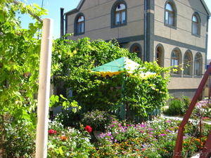 Отдых в Крыму .Частный сектор .