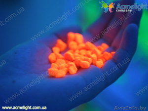 Бизнес идеи для начинающих в Белоруссии 