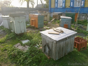 домики для пчёл - Изображение #2, Объявление #896910