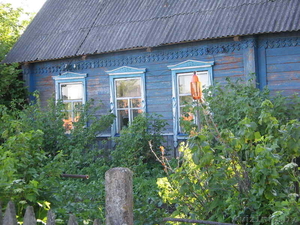 Дом в деревне под дачу - Изображение #1, Объявление #910903
