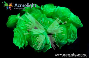 Свой бизнес в г. Полоцк 