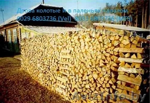 Дрова Колотые (Береза,  Ольха,  Ясень) Навалом 1м3