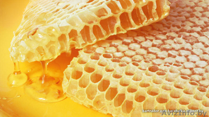 свежевыкачанный, вкуснейший мёд.  Собственная пасека.  Скидки - Изображение #1, Объявление #1452201