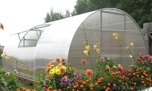 Теплица с ДВОЙНОЙ дугой. Усиленная. Шаг 1м