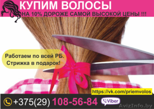 Купим Ваши волосы дорого. Витебск. - Изображение #1, Объявление #1545612