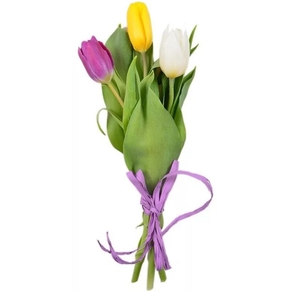 Тюльпаны на День влюбленных - Изображение #1, Объявление #1646849