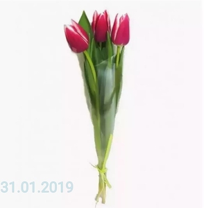 Тюльпаны на День влюбленных - Изображение #3, Объявление #1646849