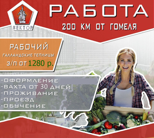 Работники тепличного комплекса