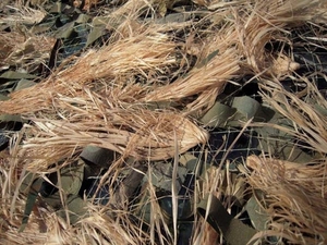 Маскировочные сети для охоты 2х3,  3х6,  4х6 метров,  фото Маскировка