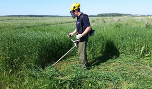 Приглашаем на работу рабочего по покосу травы