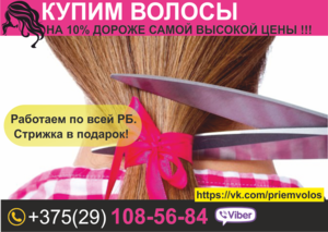 Покупаем волосы в Гомеле. Высокие цены.