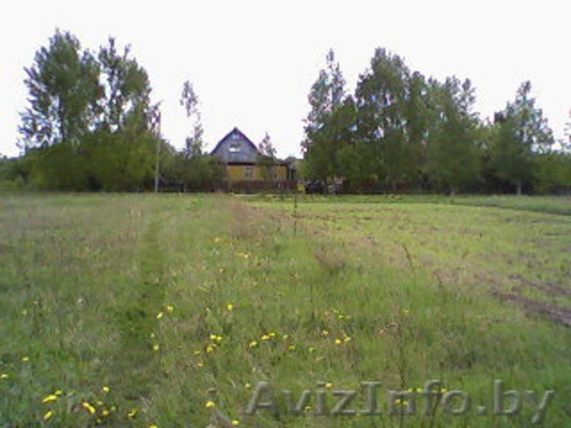 усадьба оз.Лукомльское - Изображение #2, Объявление #12603