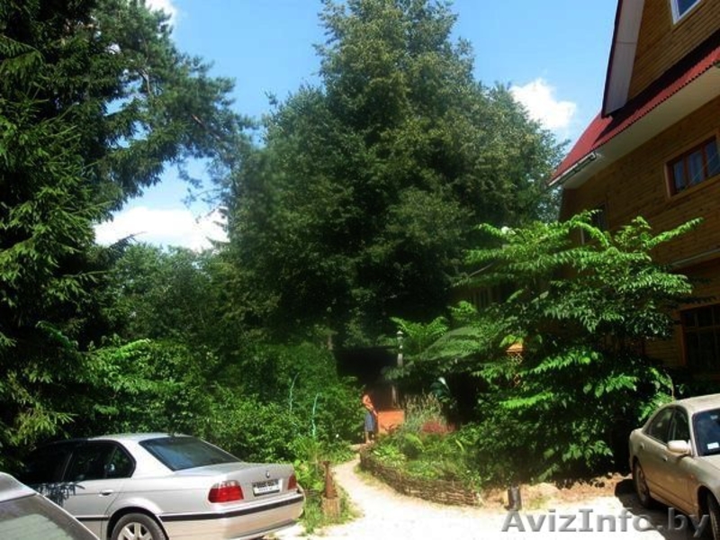 Усадьба "У Петровича" - Изображение #3, Объявление #38674