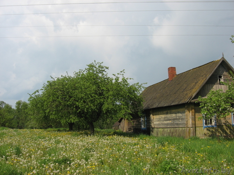 Продается дом с участком у озера - Изображение #3, Объявление #154255