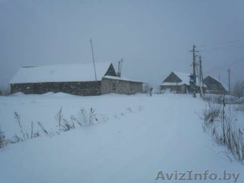 Продам дом на берегу озера 30км от Витебска - Изображение #10, Объявление #135464
