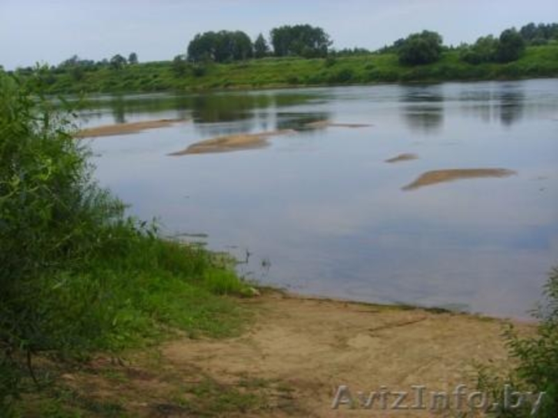 Сдаю жилой дом в Витебской обл. - Изображение #8, Объявление #15887