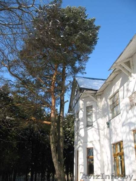 Продам бывший санаторий под базу отдыха - Изображение #5, Объявление #186593