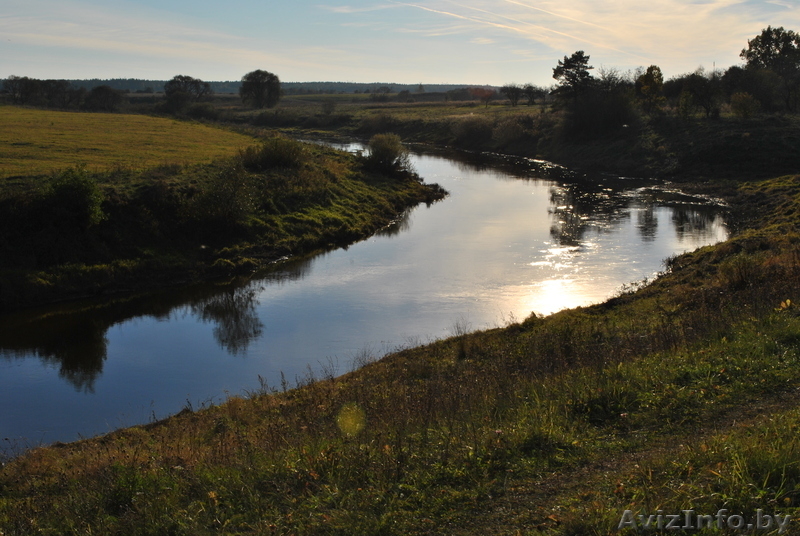 Продается имение в д. Агальница, Шарковищинском районе Витебской области.  - Изображение #5, Объявление #207469